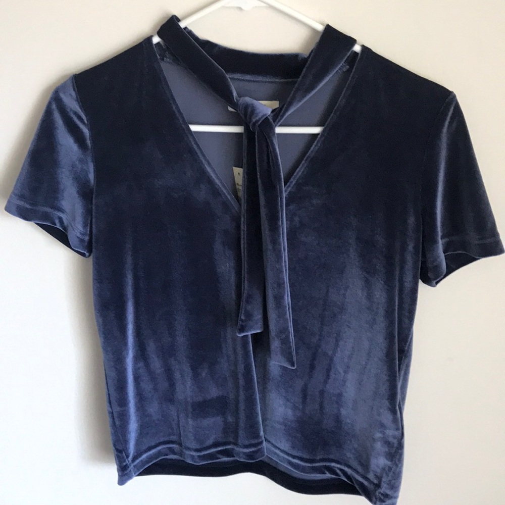 Madewell blue velvet top